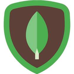 MONGO DB icon